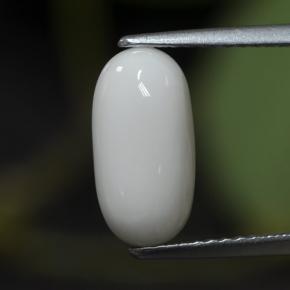 2.63캐럿 천연 화이트 산호, 타원형 컷, 11.7×6 mm, 불투명체