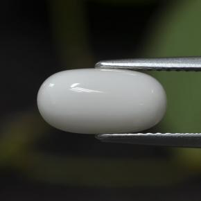2.63캐럿 천연 화이트 산호, 타원형 컷, 11.7×6 mm, 불투명체