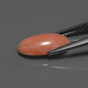 2.52캐럿 천연 흰 연어 산호, 타원형 컷, 불투명체