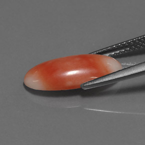 2.55캐럿 천연 화이트 살몬 산호, 타원형 컷, 15.4×7.3 mm, 불투명체