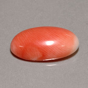 2.85캐럿 천연 화이트 살몬 산호, 타원형 컷, 13×7.7 mm, 불투명체