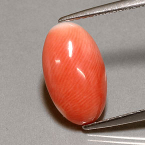 2.85캐럿 천연 화이트 살몬 산호, 타원형 컷, 13×7.7 mm, 불투명체