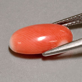 2.85캐럿 천연 화이트 살몬 산호, 타원형 컷, 13×7.7 mm, 불투명체