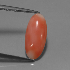 2.03캐럿 천연 화이트 살몬 산호, 타원형 컷, 15.1×6.8 mm, 불투명체