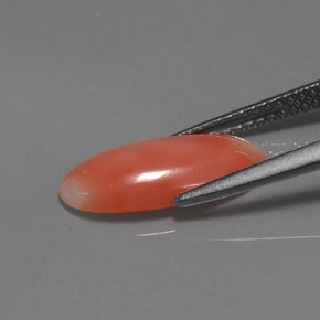 2.03캐럿 천연 화이트 살몬 산호, 타원형 컷, 15.1×6.8 mm, 불투명체