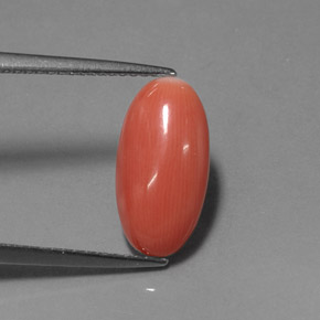 2.76캐럿 천연 살몬 산호, 타원형 컷, 13.8×7.2 mm, 불투명체