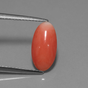 1.69캐럿 천연 살몬 산호, 타원형 컷, 12.8×6.6 mm, 불투명체