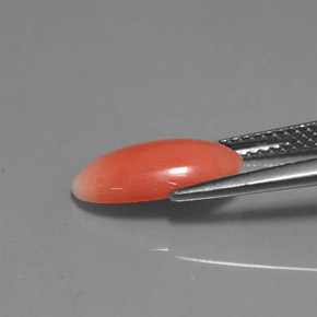 1.69캐럿 천연 살몬 산호, 타원형 컷, 12.8×6.6 mm, 불투명체
