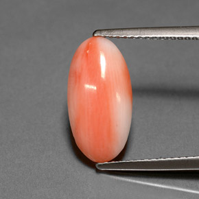 2.00캐럿 천연 화이트 살몬 산호, 타원형 컷, 14.8×7.6 mm, 불투명체