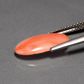 2.00캐럿 천연 화이트 살몬 산호, 타원형 컷, 14.8×7.6 mm, 불투명체