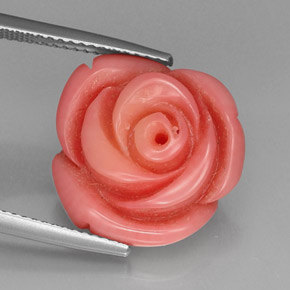 12.20캐럿 천연 연어 산호, 멋진 모양, 불투명체