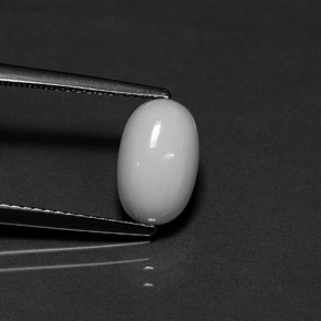 2.29캐럿 천연 화이트 산호, 타원형 컷, 10×6.3 mm, 불투명체