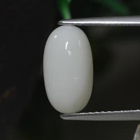 2.30캐럿 천연 화이트 산호, 타원형 컷, 11.8×6.6 mm, 불투명체