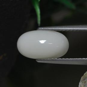 2.30캐럿 천연 화이트 산호, 타원형 컷, 11.8×6.6 mm, 불투명체