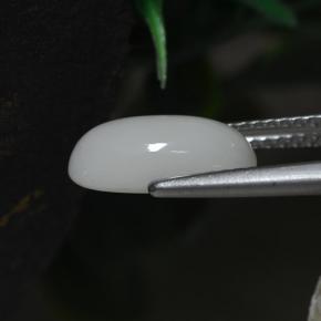 2.30캐럿 천연 화이트 산호, 타원형 컷, 11.8×6.6 mm, 불투명체