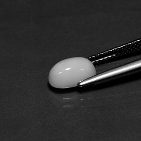 1.70캐럿 천연 화이트 산호, 타원형 컷, 9×5.5 mm, 불투명체