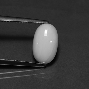 2.27캐럿 천연 화이트 산호, 타원형 컷, 11.4×7 mm, 불투명체