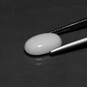 2.27캐럿 천연 화이트 산호, 타원형 컷, 11.4×7 mm, 불투명체