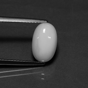 2.54캐럿 천연 화이트 산호, 타원형 컷, 11.3×7.1 mm, 불투명체