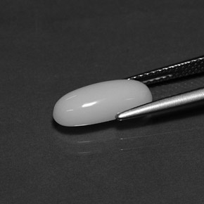2.29캐럿 천연 화이트 산호, 타원형 컷, 12.9×5.8 mm, 불투명체