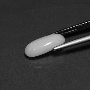 1.82캐럿 천연 화이트 산호, 타원형 컷, 12.1×5.7 mm, 불투명체