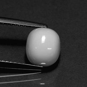 2.26캐럿 천연 화이트 산호, 타원형 컷, 8.1×7.2 mm, 불투명체