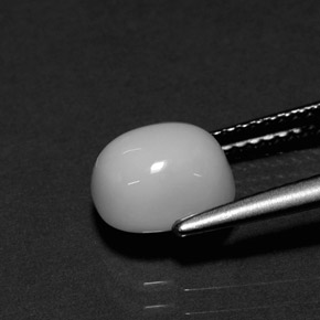 2.26캐럿 천연 화이트 산호, 타원형 컷, 8.1×7.2 mm, 불투명체