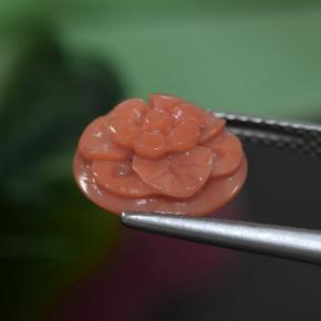 3.63캐럿 천연 딥 새먼 핑크 산호, 플라워 컷, 불투명체