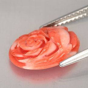 2.36캐럿 천연 연어 산호, 멋진 모양, 불투명체