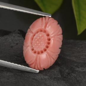 3.29캐럿 천연 살몬 산호, 플라워 컷, 13.6×9.8 mm, 불투명체