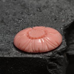 3.66캐럿 천연 살몬 산호, 멋진 모양, 13.7×9.7 mm, 불투명체