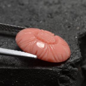 3.66캐럿 천연 살몬 산호, 멋진 모양, 13.7×9.7 mm, 불투명체