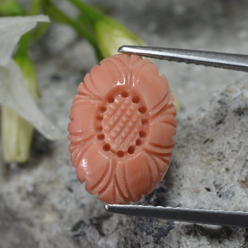 2.80캐럿 천연 오렌지빛 핑크 산호, 플라워 컷, 13.8×9.8 mm, 불투명체