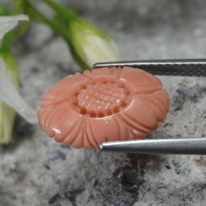 2.80캐럿 천연 오렌지빛 핑크 산호, 플라워 컷, 13.8×9.8 mm, 불투명체