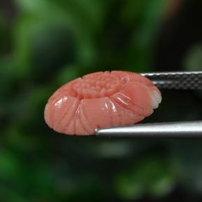 3.00캐럿 천연 붉은빛이 도는 핑크 톤 산호, 플라워 컷, 불투명체