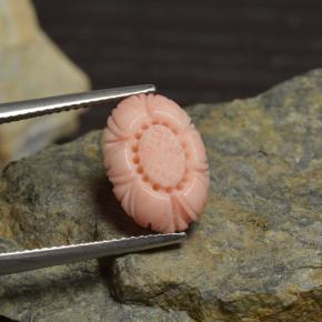 3.39캐럿 천연 화이트 살몬 산호, 플라워 컷, 13.6×9.8 mm, 불투명체