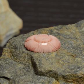 3.39캐럿 천연 화이트 살몬 산호, 플라워 컷, 13.6×9.8 mm, 불투명체