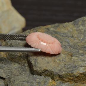 3.39캐럿 천연 화이트 살몬 산호, 플라워 컷, 13.6×9.8 mm, 불투명체