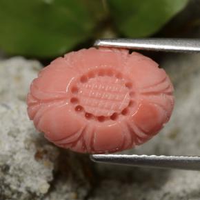 3.67캐럿 천연 미디엄 라이트 레드 산호, 플라워 컷, 13.6×9.8 mm, 불투명체
