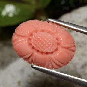 3.10캐럿 천연 딥 블러쉬 레드 산호, 플라워 컷, 13.3×9.6 mm, 불투명체