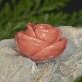14.58캐럿 천연 Salmon Pink   산호, 팬시한, 불투명체