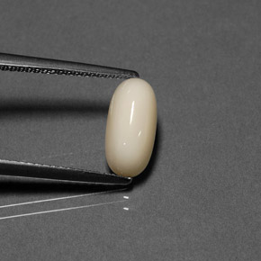2.21캐럿 천연 크림 산호, 타원형 컷, 10.9×5.4 mm, 불투명체