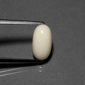2.23캐럿 천연 하얀색 산호, 타원형 컷, 불투명체