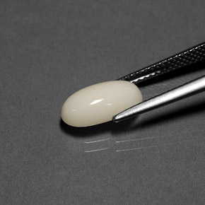 2.23캐럿 천연 하얀색 산호, 타원형 컷, 불투명체