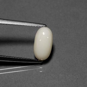 1.84캐럿 천연 화이트 산호, 타원형 컷, 10.8×5.8 mm, 불투명체