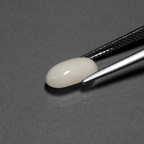 1.84캐럿 천연 화이트 산호, 타원형 컷, 10.8×5.8 mm, 불투명체