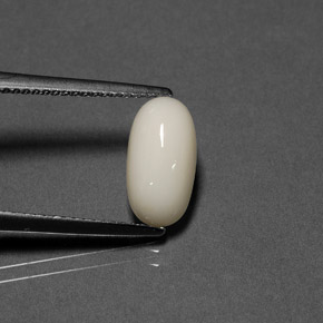 2.02캐럿 천연 화이트 산호, 타원형 컷, 11.4×6 mm, 불투명체