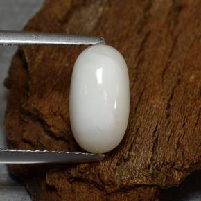 2.39캐럿 천연 밝은 회백색 산호, 타원형 컷, 11×6.1 mm, 불투명체