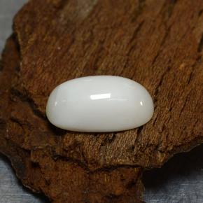2.39캐럿 천연 밝은 회백색 산호, 타원형 컷, 11×6.1 mm, 불투명체