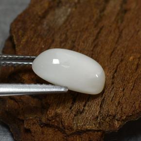 2.39캐럿 천연 밝은 회백색 산호, 타원형 컷, 11×6.1 mm, 불투명체